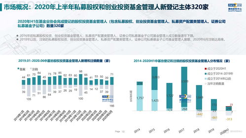 2020上半年中國股權投資市場回顧與展望 融資咨詢服務的新變局與新機遇